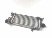 Ladeluftkühler Ford C-Max II (DXA) CV619L440VC