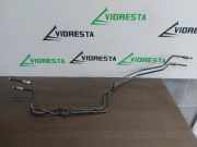 Bremsschlauch links vorne Peugeot 308 II ()