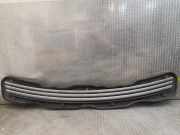 Vorderer oberer Gitter MERCEDES-BENZ E (W210) E 320 CDI (210.026) 2108800805