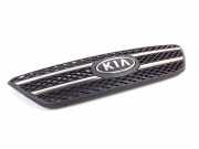 Kühlergrill oben Kia Ceed 1 SW (ED) 863501H000