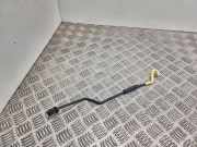 Ersatzradhalter Citroen C3 Picasso (SH)