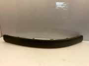 Stoßstangenzierleiste vorne rechts VW PASSAT B5 (3B2) 1.9 TDI 3B0807718