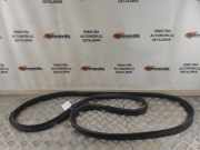 Dichtung für Koffer-/Laderaumklappe Toyota Prius (W5)