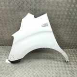 Kotflügel vorne links