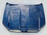 Motorhaube TOYOTA LAND CRUISER (_J15_) 2.8 D-4D (GDJ150_, GDJ155_)