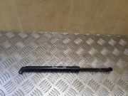 Gasfeder für Motorhaube BMW 5er (E39)