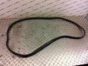 Türgummi links vorne Ford Transit Connect V408 Kasten ()