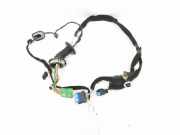 Türverkabelung hinten links CITROËN DS5 2.0 HDi 165 55VYR1004