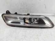 Nebelscheinwerfer links VW PASSAT B7 (362) 2.0 TDI 176623