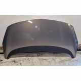 Motorhaube OPEL MERIVA B 1.4 LPG