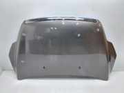Motorhaube FORD FOCUS II (DA_, HCP) 2.0 TDCi