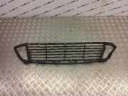 Kühlergrill unten BMW X1 (F48) 7354773