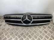 Kühlergrill oben Mercedes-Benz CLK (C209) A2098800123