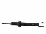 Stoßdämpfer vorne links