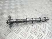 Auspuffkrümmer Subaru Forester (SH)