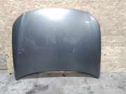 Motorhaube VW PASSAT B6 (3C2) 2.0 TDI 16V