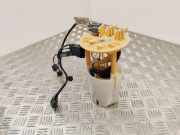 Kraftstofftankpumpe RENAULT ESPACE V (JR_) 1.6 dCi 160 172023644R