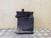 Aktivkohlefilter für Tankentlüftung Opel Astra J GTC () 13348456