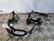 Türverkabelung hinten rechts NISSAN JUKE (F15) 1.5 dCi 241261KK0A