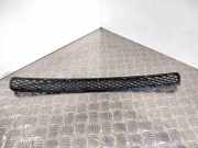 Kühlergrill unten BMW X3 (E83) 51113416512