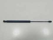 Heckklappe Gasdruckfeder links