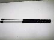 Heckklappe Gasdruckfeder links FORD C-MAX (DM2) 2.0 3m51-r406a10-ab