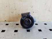 Stellelement für Außenspiegel Renault Trafic II Kasten (FL) 255704649R