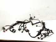 Motor Kabelbaum FORD FIESTA VII 1.0 EcoBoost H1BT-12C508-ABE