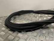 Türgummi links vorne Audi A6 Allroad (4G)