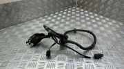 Kabel Tür Renault Megane IV Schrägheck (B9A) 242101836R