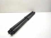 Heckklappe Gasdruckfeder links BMW X5 (E70) 3.0 d 7177283