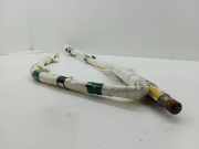 Airbag Dach links Ford C-Max II (DXA) 1D0762901