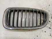 Vorderer oberer Gitter BMW 5 (F10) 530 d xDrive 7340319