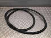 Dichtungsgummi der hinteren Tür (an der Karosserie) AUDI A8 D2 (4D2, 4D8) S8 quattro 4H4833721C