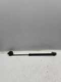 Heckklappe Gasdruckfeder links MG ZS SUV EV 10316252
