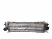 Ladeluftkühler RENAULT TRAFIC II Furgon (FL) 1.9 dCI 100 (JL0C) 7700312903