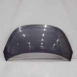 Motorhaube Hyundai i10 (PA) 66400B4000