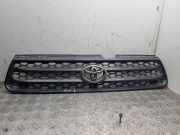 Kühlergrill oben Toyota RAV 4 II (A2) 0842342130