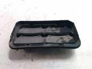 Ziergitter Opel Insignia A Sports Tourer (G09) 13502040