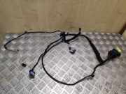 Kabel Tür Citroen C4 II Picasso () 9663280480