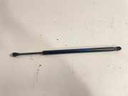 Heckklappe Gasdruckfeder rechts BMW X6(G06) xDrive 30 d 7491696