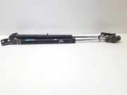 Heckklappe Gasdruckfeder links MAZDA PREMACY (CP) 2.0 TD