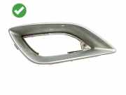 Nebelscheinwerferverkleidung MERCEDES-BENZ R (W251, V251) R 350 4-matic (251.065, 251.165) A2518852023