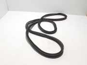 Türdichtung Volvo XC40 (536) 31457013