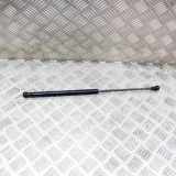 Heckklappe Gasdruckfeder links AUDI A8 D4 (4H_) 4.2 TDI quattro 4H0827551B