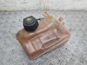 AUSGLEICHSBEHÄLTER KÜHLWASSER RENAULT SCÉNIC III (JZ0/1_) 1.4 16V (JZ0F, JZ1V) 217100005R
