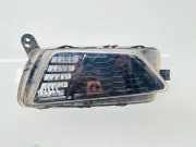 Nebelscheinwerfer links VW POLO (6R, 6C) 1.6 BiFuel 2G0941662B