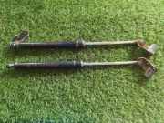 Heckklappe Gasdruckfeder links TOYOTA AVENSIS VERSO (_M2_) 2.0 D (CLM20_) 6896044080