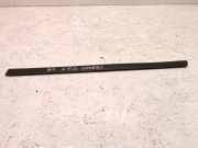 Türverkleidung links hinten VW Passat B6 (3C2)