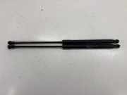 Heckklappe Gasdruckfeder links BMW 6 Gran Coupe (F06) 640 i xDrive 7275643